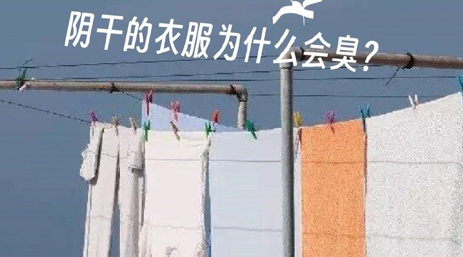 為什么陰干的衣服那么臭  衣物護(hù)理機(jī)廠家來告訴你